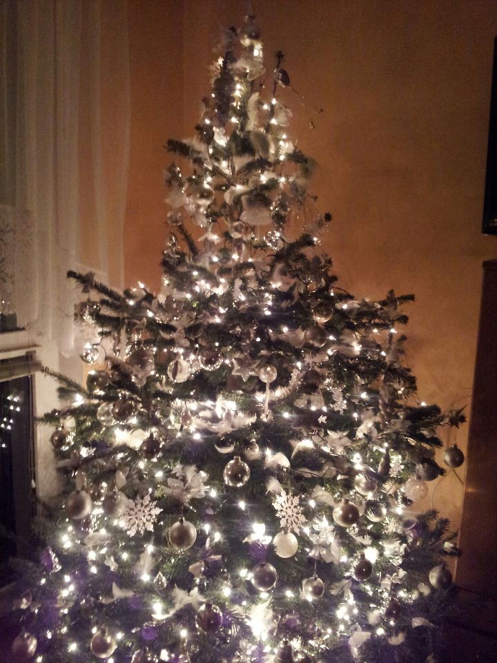 Christmas time :)